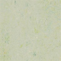 3430 Salsa Verde Splash